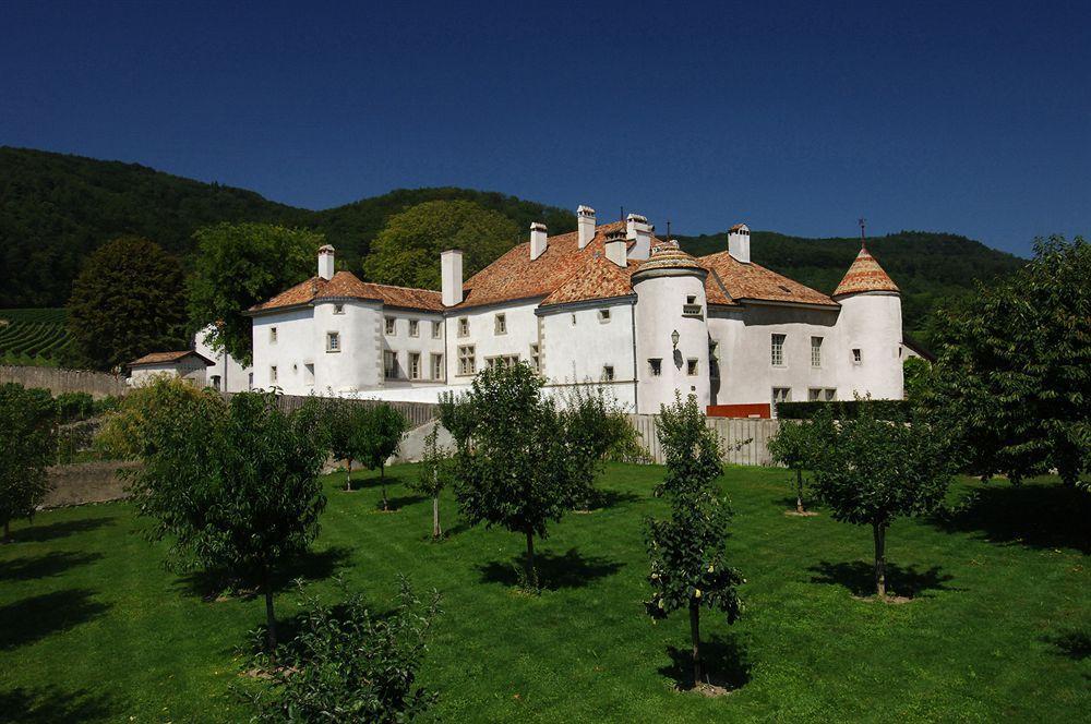 Chateau Le Rosey Hotel Nyon Exterior foto
